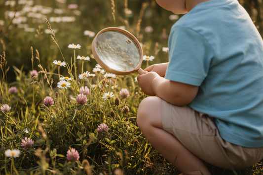 🏡 Uncover the Hidden Wonders of Your Garden with Backyard Creatures